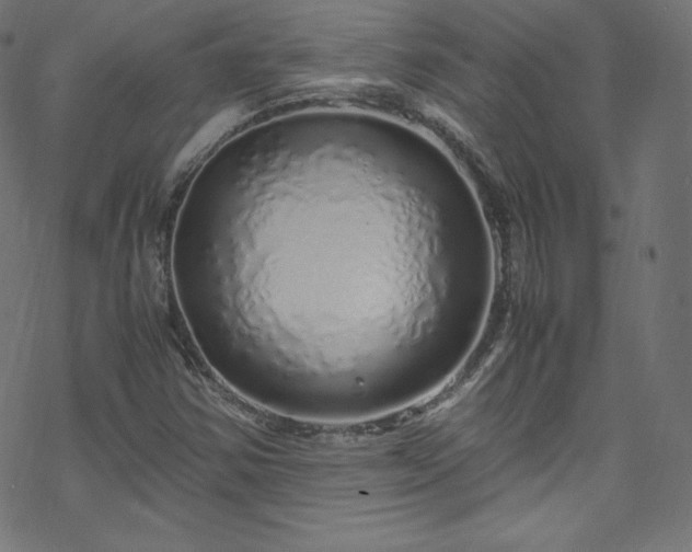 X0000070231354200605301445