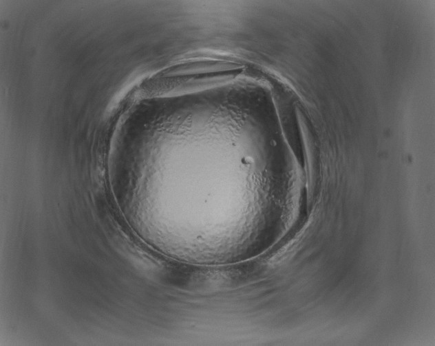 X0000070231355200605301445