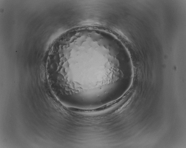 X0000070231358200605301445