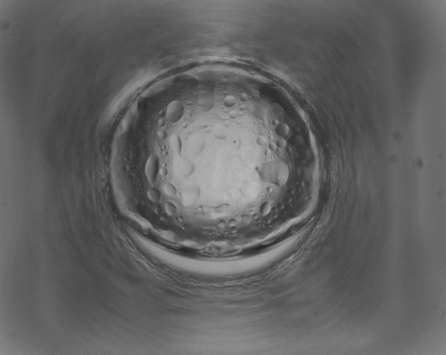 X0000070231359200605301445