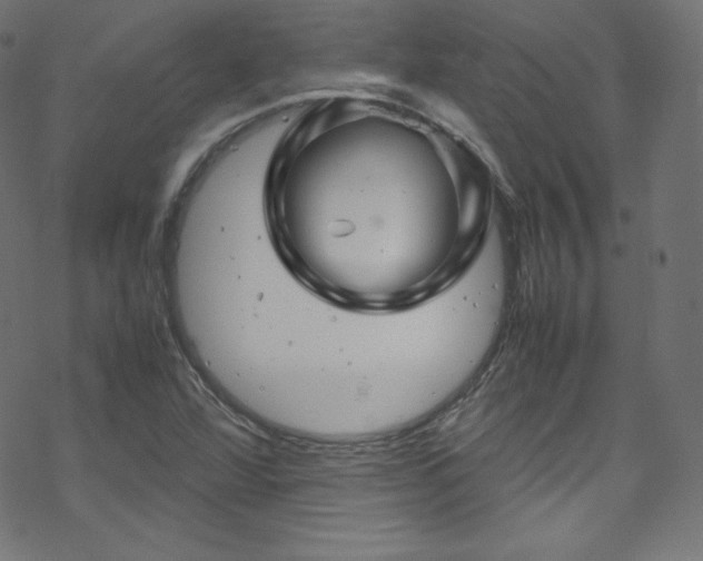 X0000070231360200605301445