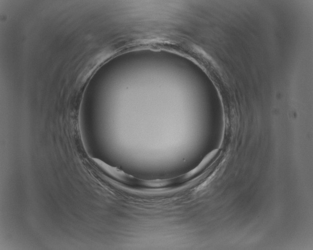 X0000070231361200605301445