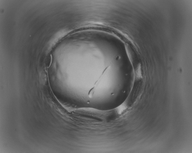 X0000070231363200605301445