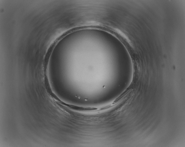 X0000070231364200605301445