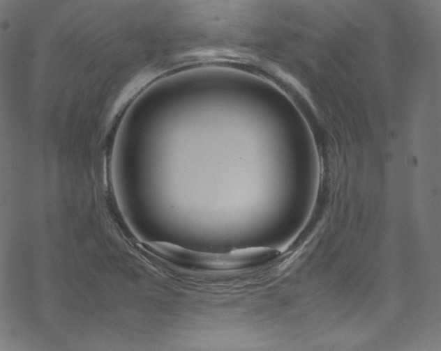 X0000070231365200605301445