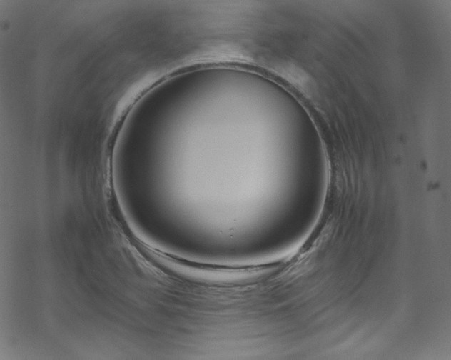 X0000070231366200605301445