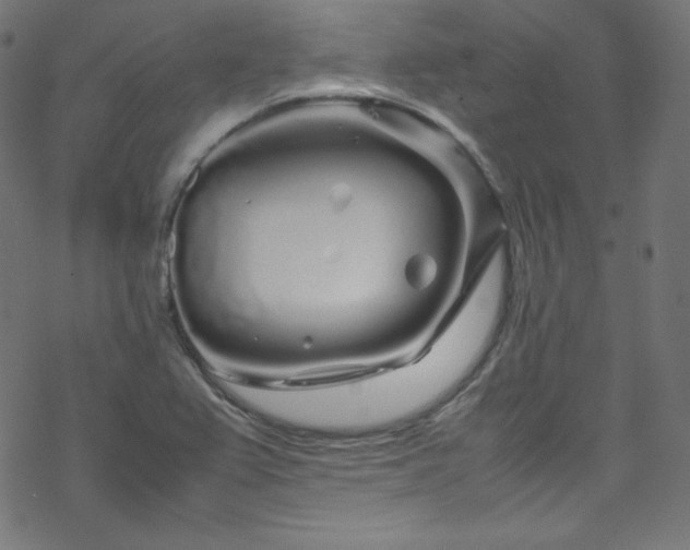 X0000070231367200605301445