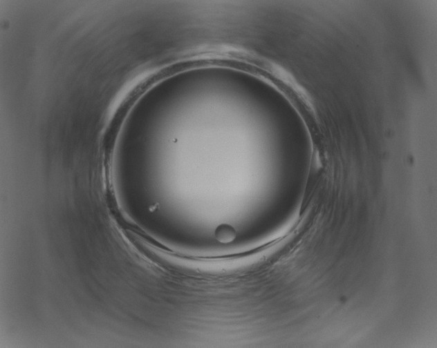 X0000070231368200605301445