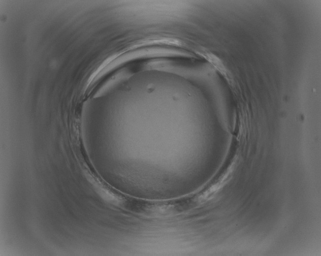 X0000070231369200605301445