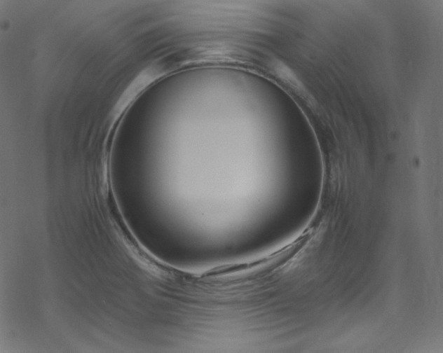 X0000070231370200605301445