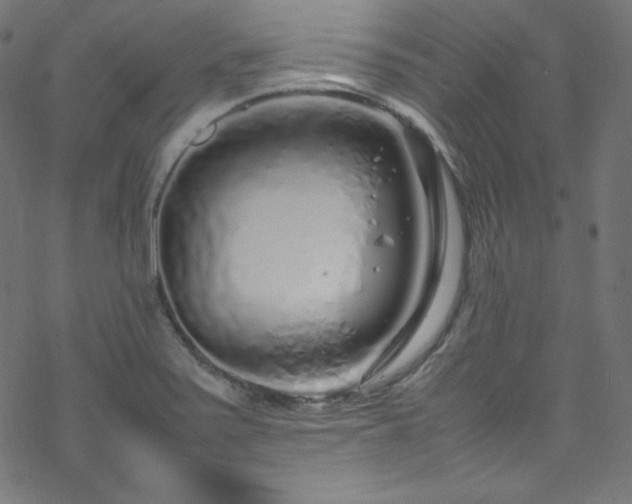 X0000070231371200605301445