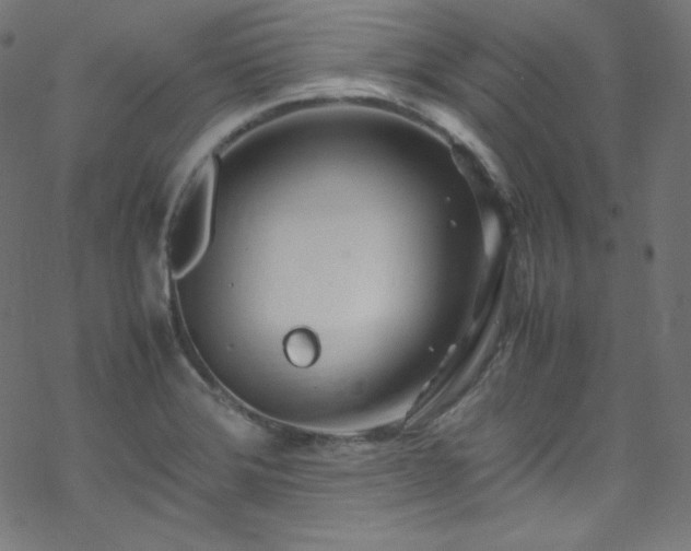 X0000070231372200605301445