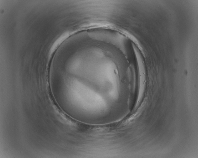 X0000070231373200605301445