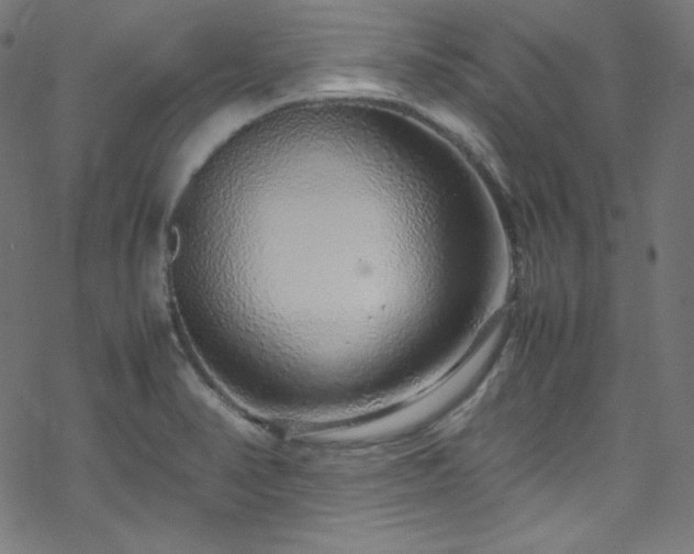 X0000070231374200605301445