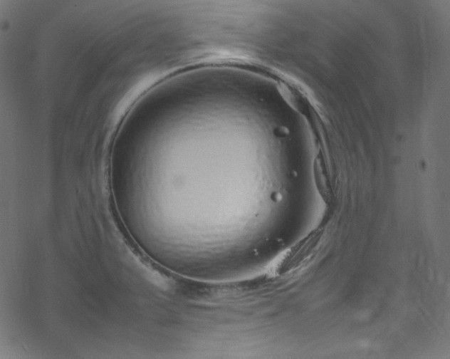 X0000070231375200605301445