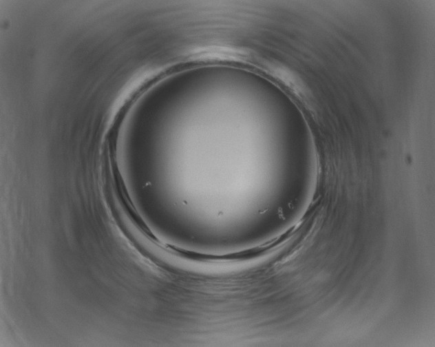 X0000070231376200605301445