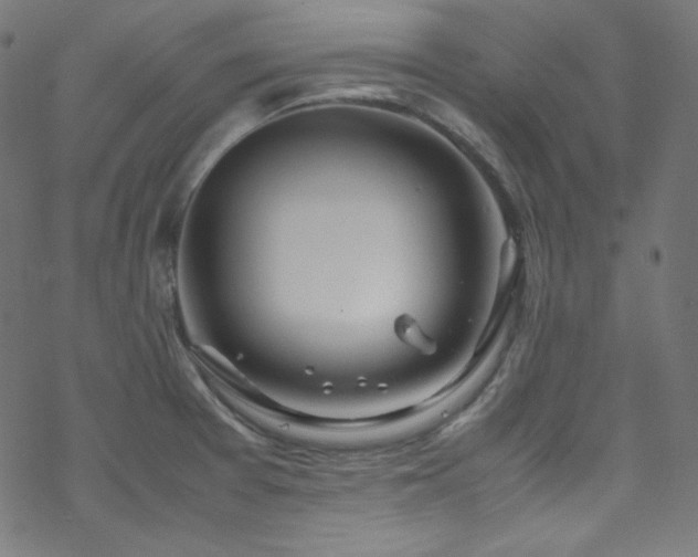 X0000070231377200605301445