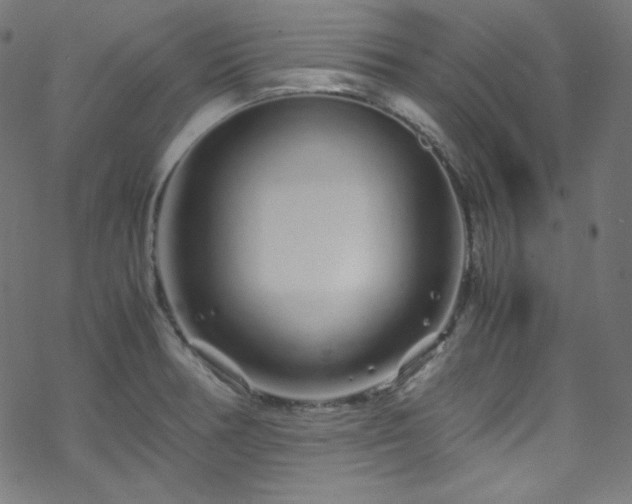 X0000070231378200605301445