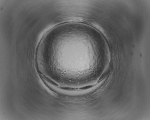 X0000070231379200605301445