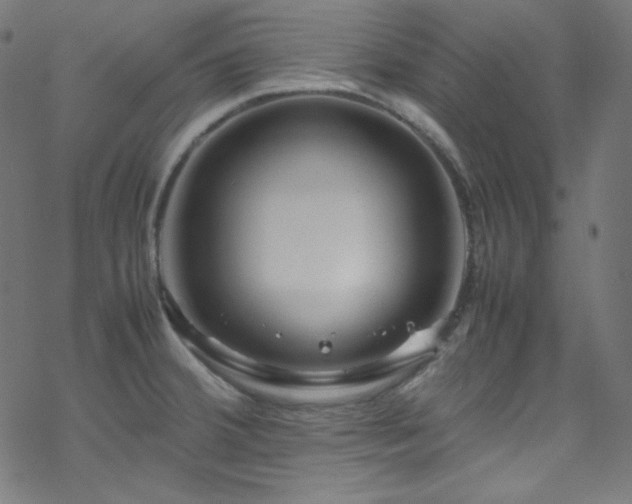 X0000070231380200605301445