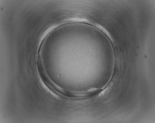 X0000070231381200605301445