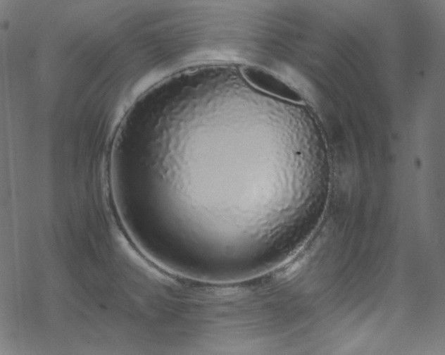 X0000070231382200605301445