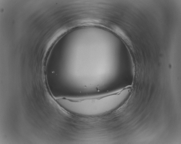 X0000070231384200605301445