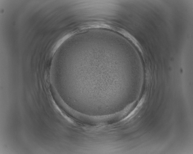 X0000070231385200605301445