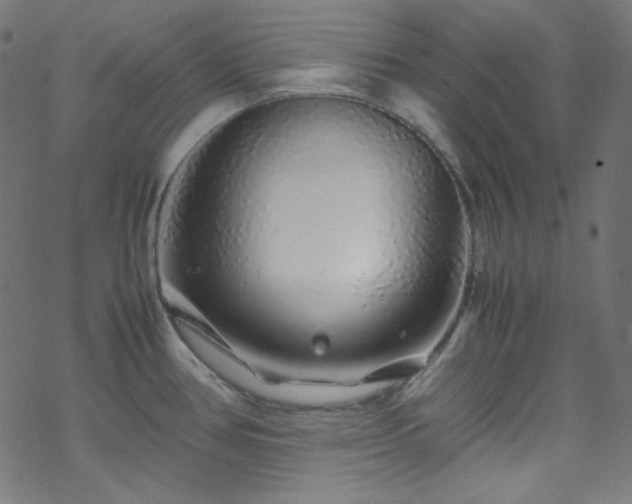 X0000070231386200605301445