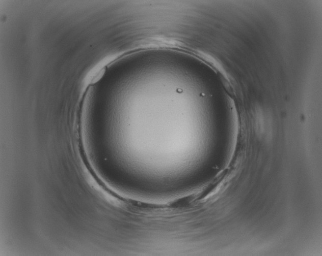 X0000070231387200605301445