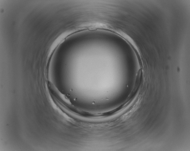 X0000070231389200605301444