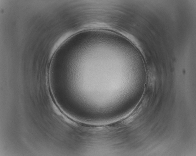 X0000070231390200605301444