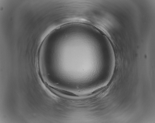 X0000070231391200605301444