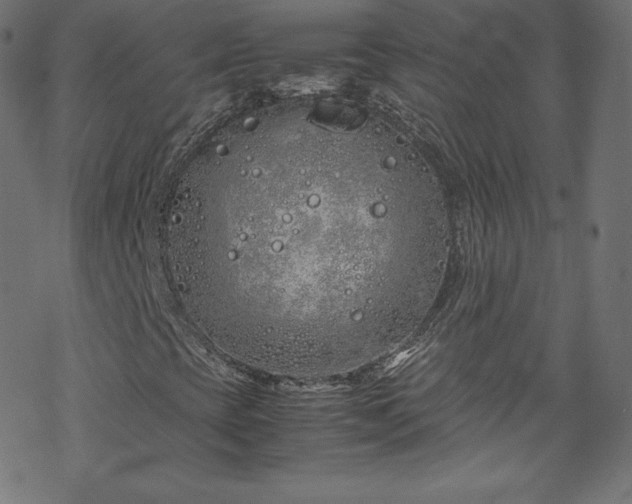 X0000070231393200605301444