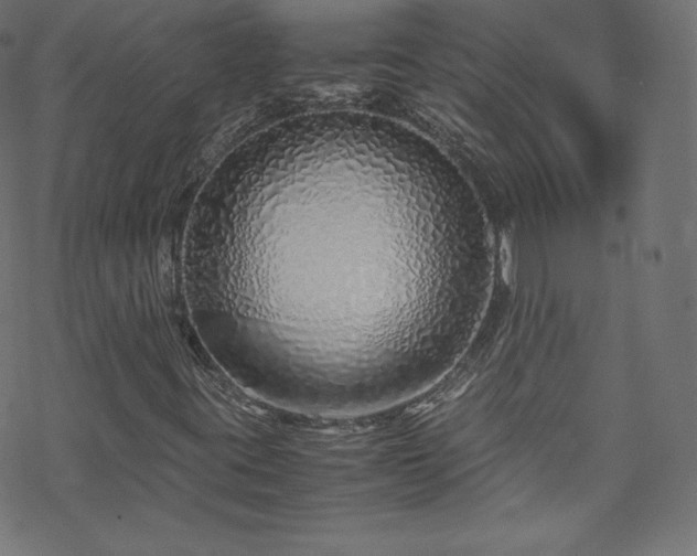 X0000070231395200605301444