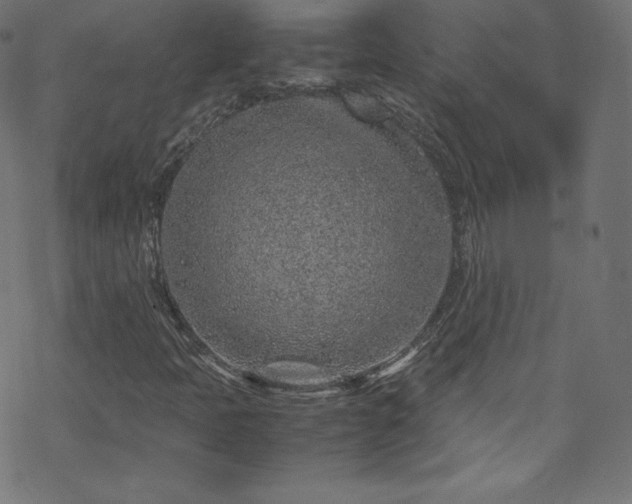 X0000070231397200605301444