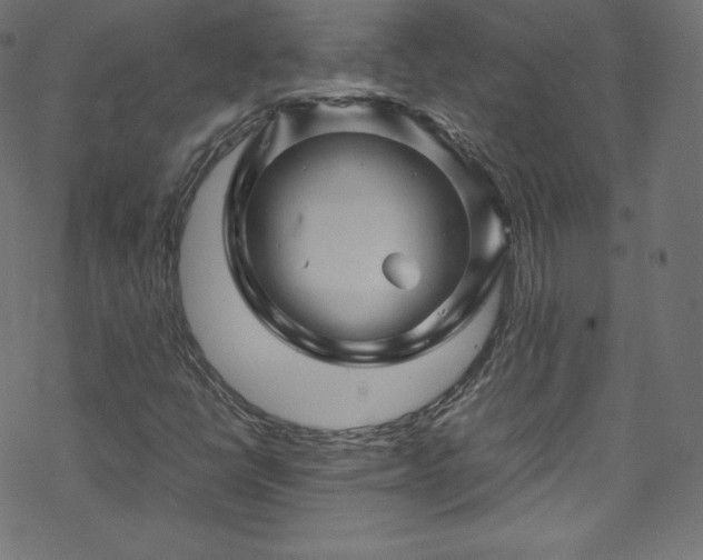 X0000070231398200605301444