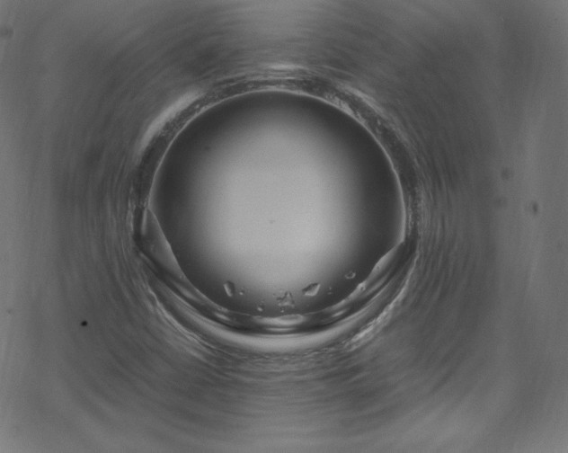 X0000070231402200605301444