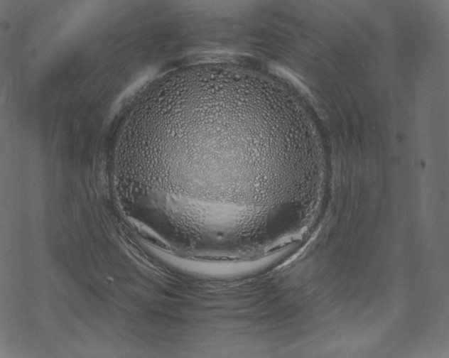 X0000070231403200605301444