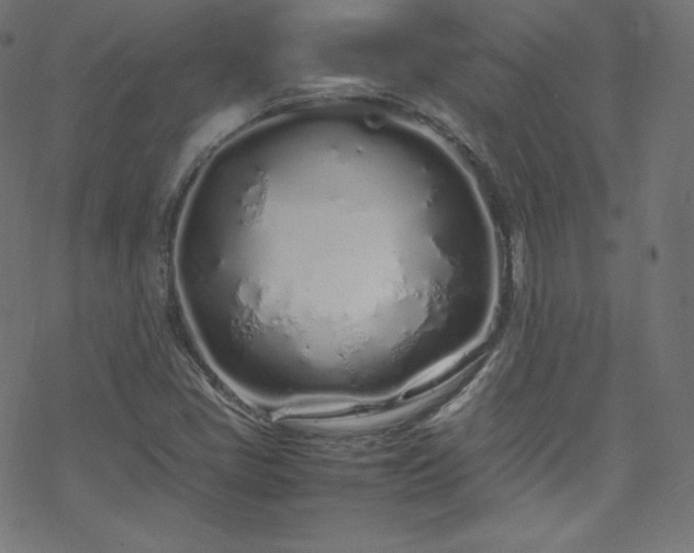 X0000070231405200605301444