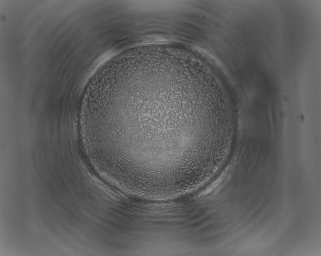 X0000070231409200605301444