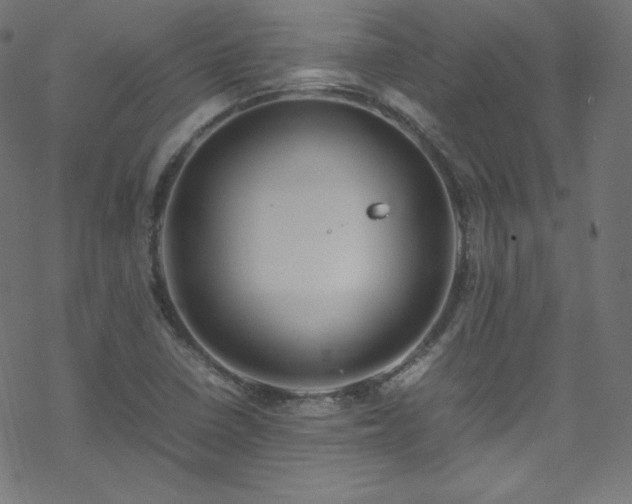 X0000070231410200605301444