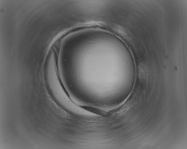 X0000070231412200605301444