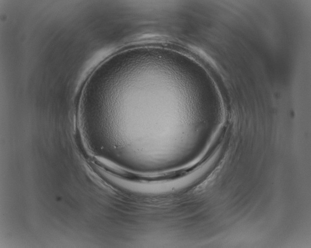 X0000070231413200605301444