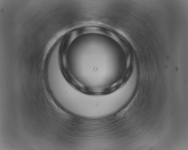 X0000070231414200605301444