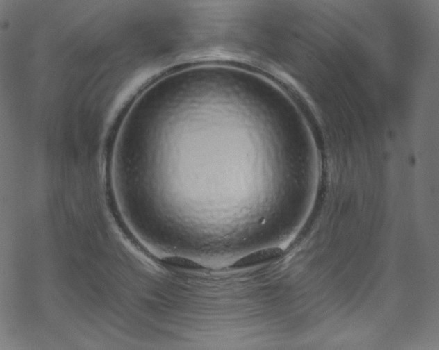 X0000070231416200605301444