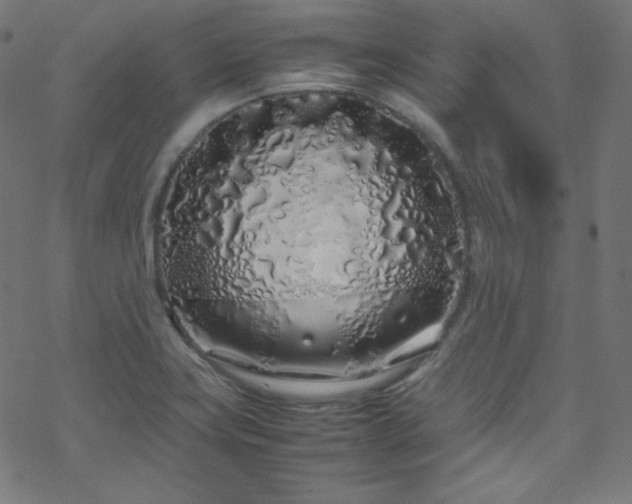 X0000070231419200605301444