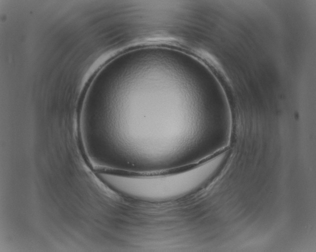 X0000070231420200605301444