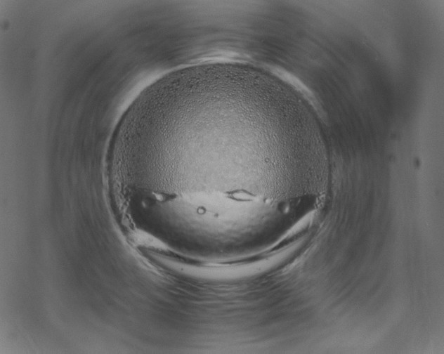 X0000070231423200605301444