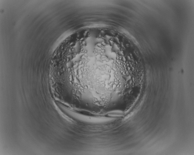 X0000070231425200605301444